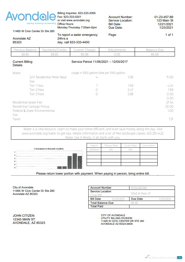 download USA Arizona The City of Avondale Water utility bill template in Word and PDF format PDF template